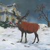 Christmas Elk; an elk is standing in the snow in front of a lighted house at Christmas...Acrylic on Canvas..24 x 36